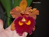 Blc. Chunyeah x  Lius Joyance 